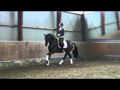 Søbakkehus Mia amore