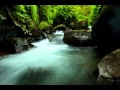 Music To Help Sleep And Ease Pain With Gentle Nature Sounds
