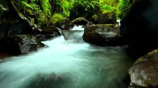 Music to help sleep and ease pain:  With Gentle Nature Sounds