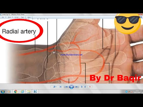 Radial artery anatomy 3D  Easy to Remember