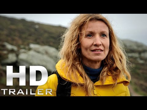 Trailer-Vorschau: Das Zimmer der Wunder