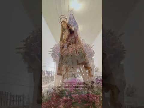 SANTA MÃE DE DEUS DAS DORES - RAINHA DO VALE COTINGUIBA - LARANJEIRAS/SE. #fe #mariasantissima