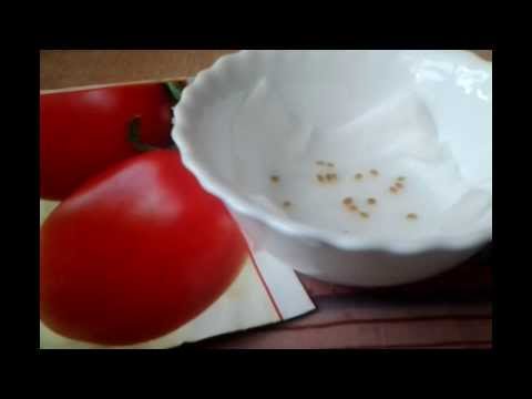 Лайфхак для рассады. Посадка семян томатов видео. Посадка семян томатов видео. Что такое посев игры. Когда сажать помидоры на рассаду в 2024 году.