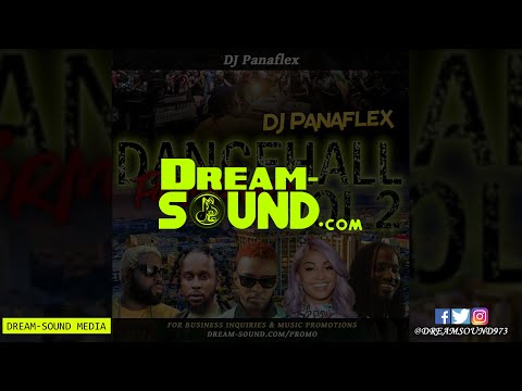 DJ Panaflex - Dancehall Formidable 2 (Mix 2022 Ft Ding Dong, Sean Paul, Popcaan, Alkaline, Govana)