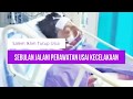 Detik - detik akhir salem iklim tutup usia Detik - detik akhir salem iklim tutup usia