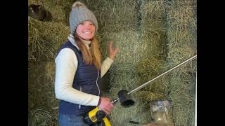How to Test Your Horse Hay