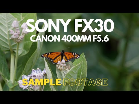Sony FX30 with Canon 400mm f5.6 lens Sample Footage