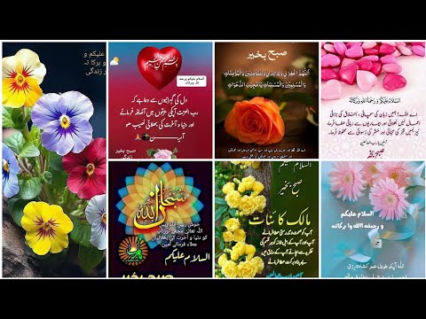 Subah Bakhair Wishes || Assalam o Alaikum Good Morning Quotes In Urdu || Islamic Success Motivation