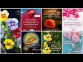Subah Bakhair Wishes Assalam O Alaikum Good Morning Quotes In Urdu Islamic Success Motivation