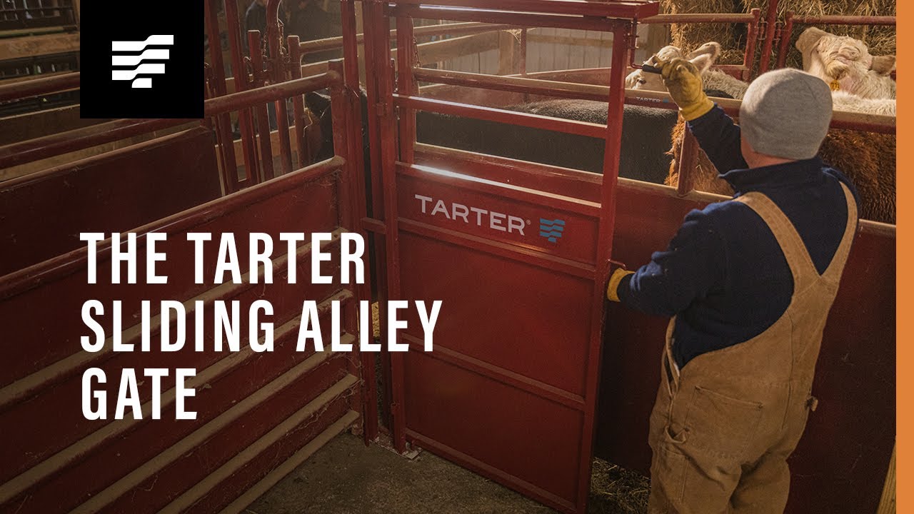 SLIDING ALLEY GATE