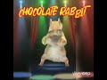 Chocolate Rabbit.