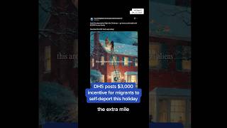 DHS posts $3,000 incentive for migrants to self-deport this holiday