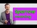 Sparrow | Definition of sparrow