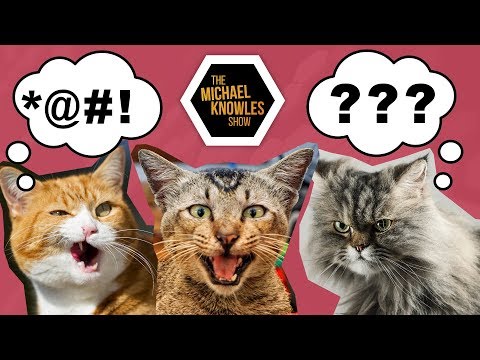 Full Of Sound And Fury, Signifying Nothing | The Michael Knowles Show Ep. 192