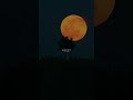 Heeriye Song Status ️ Arijitsingh Newsong Status Whatsappstatus Heeriye Explore Shorts