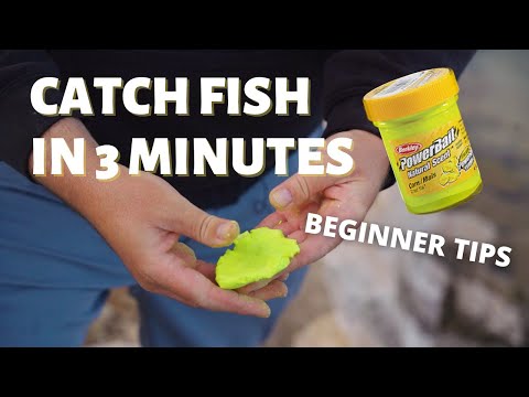 360 Sportsman and Troutcatchingjedi