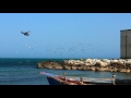 Chopper At Eforie Sud