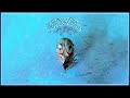 Eagles - Greatest Hits (Full Album)