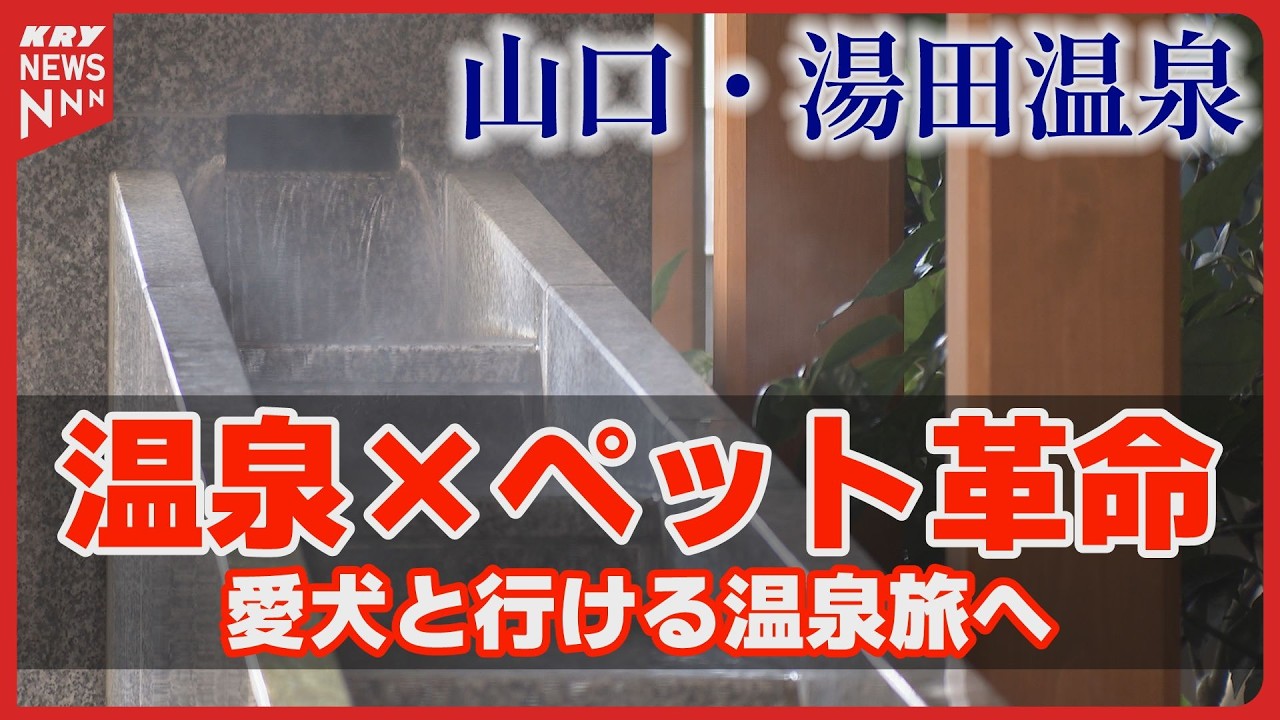愛犬と山口旅行へ！湯田温泉で叶う“安心ステイ”新サービスとは
