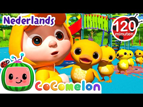De eendjes van baby JJ | CoComelon Nederlands - Kinderliedjes