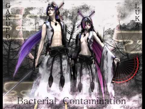 【Luka & Gakupo】 Bacterial Contamination 【Duet】