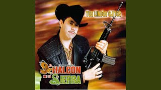 Caja De Muerto Lyrics English Translation