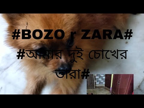 @milichatterjee9349 @justsima6368