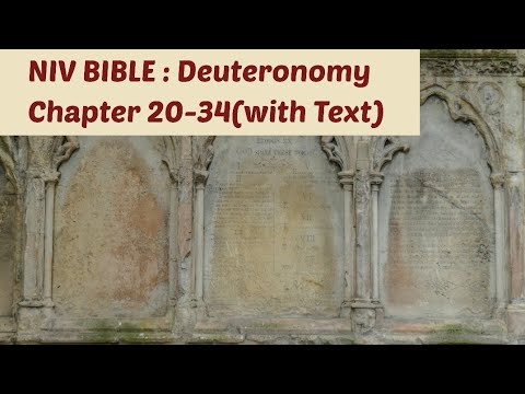 Deuteronomy 20-34: NIV Audio Bible: (with text)