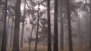 Amethystium evermind music video