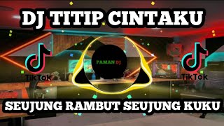Download lagu DJ TITIP CINTAKU | SEUJUNG RAMBUT SEUJUNG KUKU FULL BASS VIRAL TIKTOK TERBARU 2022 mp3