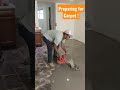 Concrete Leveler As Pro