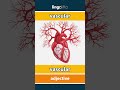 vascular - vascular video thumbnail