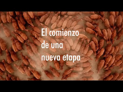 EL COMIENZO DE UNA NUEVA ETAPA