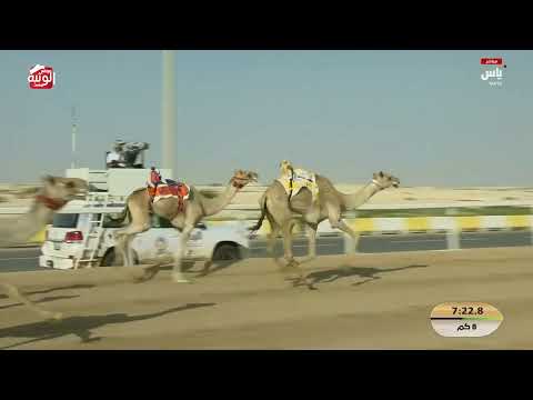 ش 7 (شوده) لـ سعيد جابر بن عبدالله الحربي 12:30:92 ، مهرجان ختامي الشحانية 2026/04/27 حول