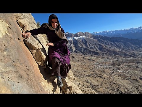 Kulthum's daring journey to the rocks: traversing dangerous mountains to collect healing tools 💪⛰️🌱