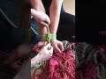 Einfache Bondage Fesselung Einer Handschelle Oder Hand An Fuß Fuß An Fuß