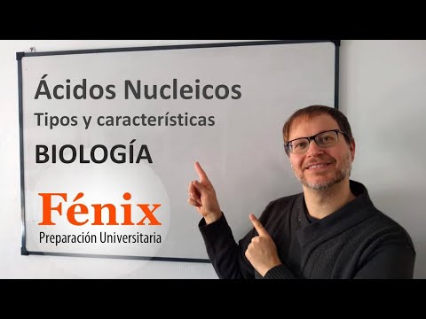 Ácidos Nucleicos: ADN y ARN en 6 minutos