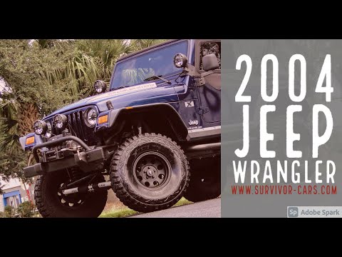 2004 Jeep Wrangler (CC-1386773) for sale in Palmetto, Florida