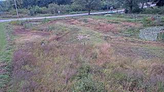 Nevada · Park Mercer Pump · through Wetlands live stream