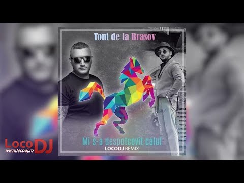 Toni de la Brasov - Mi s-a despotcovit calul (LOCODJ Remix)
