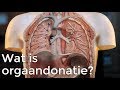 Wat is orgaandonatie? | Het Klokhuis