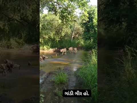 monsoon
