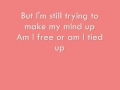 Miike Snow - Animal Lyrics 