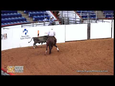 2017 Snaffle Bit Futurity Cow Work