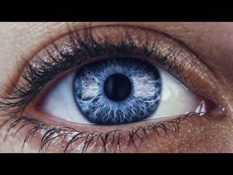 ZEISS 175 Seeing Beyond