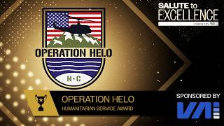 2026 VAI Salute to Excellence Humanitarian Service Award