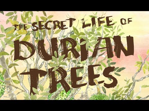 A vida secreta das árvores Durian