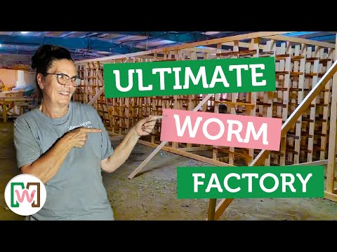 Worm Farm Reconstruction Update!