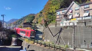 【手を振ってくれた運転士】箱根登山電車3100形3101F+3000形3001F（アレグラ号）箱根湯本駅到着