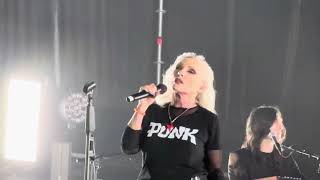 Blondie Dog Star Girl - Mallorca June 2024